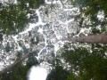 Tn 0488 DSC 5803